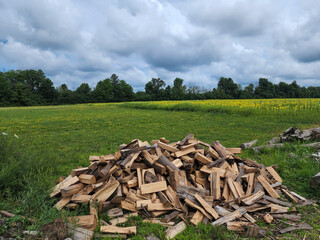 Split firewood pile on the edge of a field