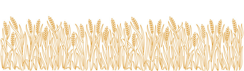 Wheat field. Ears of wheat rye or barley. Vector line. Editable outline stroke. Design wrapper of bakery. - obrazy, fototapety, plakaty