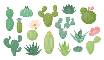 Mexico cactus plants, wild cacti collection. Bright nature decorative flowers and succulents, cute desert drawing elements, summer hand drawn houseplants. Vector cartoon flat illustration