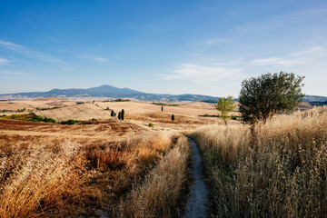 beautiful summer day on meadows in Tuscany