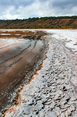 Kuyalnik estuary, Black Sea. Table salt in the form of round pancakes at the bottom and the bank of the estuary. Table salt crystals