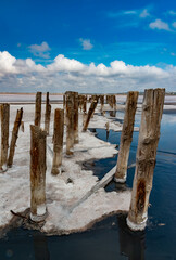 Salt crystals on wooden pillars of an old 18th century salt industry. The ecological problem is...