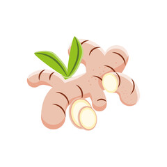 Ginger PNG image icon with transparent background