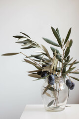 vase with fresh olive branches, minimal decor
