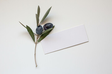 modern card mockup. invitation with fresh olive branches, minimal decor