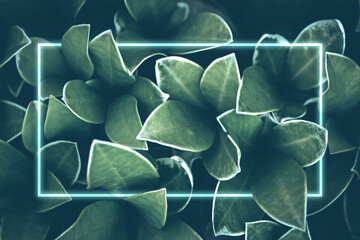 Green and Blue Leaf Background