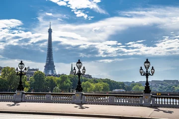 Photo sur Plexiglas Pont Alexandre III Bridge Pont Alexandre III  Over River Seine With View To Eiffel Tower In Paris, France
