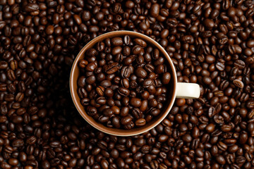 Freshly roasted coffee beans in a cup