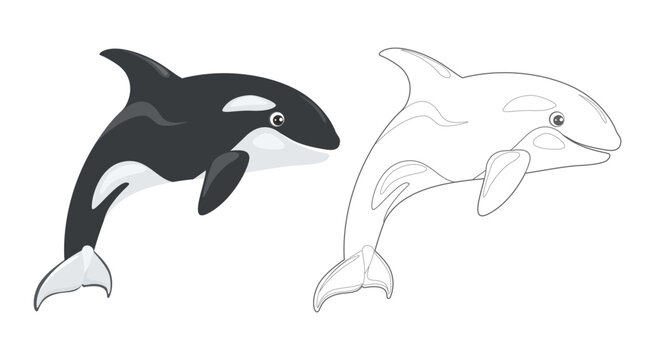 Coloring page outline of cartoon Orca whale. Killer whale spirit. Cartoon sea animal. Simple flat illustration. Coloring book for children.