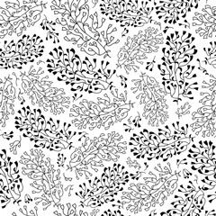 Black and white seaweed seamless vector pattern. Elegant and simple drawing of underwater plant branches. Exotic kelp laminaria foliage design is a modern line art illustration.