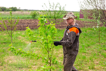 A man in overalls treats young fruit trees against parasites and diseases in a green orchard