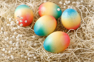 Fototapeta na wymiar Easter painted colorful natural chicken eggs with dried hay and flowers scatered on rustic background.