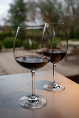 Tasting of red reserva rioja wines, visit of winery cellars in Haro, capital of Rioja wine making region, Spain