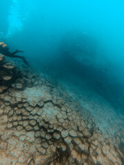 Fototapeta premium tenerife plongée orgues bleu