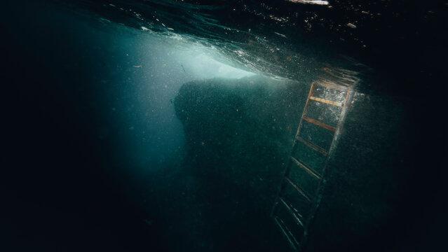 tenerife echelle sous marine