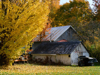 An old barn under the trees.