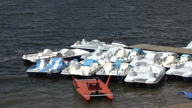 Pedal Boats for Rent on Mountain Lake, Boats Centre Awaiting for People Tourists Riding, Pontoon Bridge View