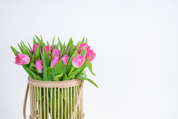 wicker vase with tulips isolated on white background Space for text