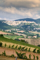 Arcevia. Ancona. Panorama della Cittadina nel contesto rurale