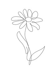 Obraz na płótnie Canvas Camomile flower one line drawing.Continuous line drawing of camomile.Hand drawn camomile.Single one line flower .Flower outline sketch.