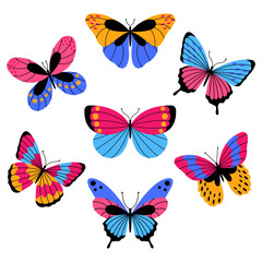 Collection of exotic butterflies. Set of tropical flying insects with colorful wings isolated on white background.