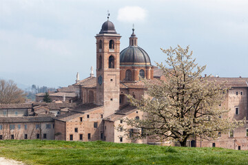 Fototapeta na wymiar Urbino. Palazzo Ducale con la Cattedrale di Santa Maria Assunta.