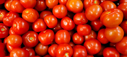 Fresh red tomatoes. Tomatoes on the shelf. Close up at the grocery. Red organic tomatoes.