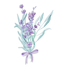 Beautiful lavender provence watercolor illustration