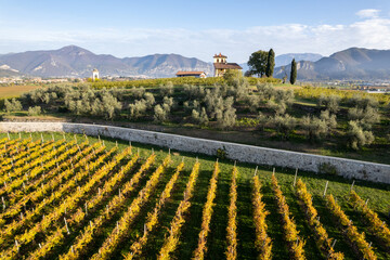 Landscape of Franciacorta aerial view in Brescia province, Lombardy district in Italy, Europe.