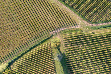 Landscape of Franciacorta aerial view in Brescia province, Lombardy district in Italy, Europe.