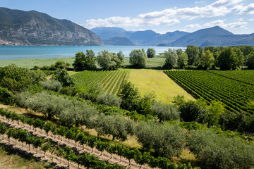 Landscape of Franciacorta aerial view in Brescia province, Lombardy district in Italy, Europe.
