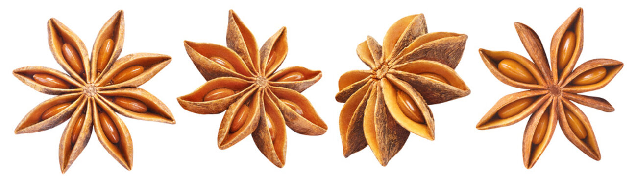 Star anise collection cut out