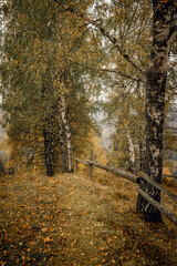 Obraz premium Mountain view