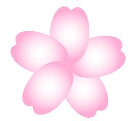 sakura pink gradient cute minimal decoration for spring and japanese kawaii cherry blossom