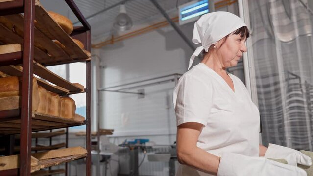 A woman baker puts freshly baked bread from the oven into the trays on the racks. Bread production.