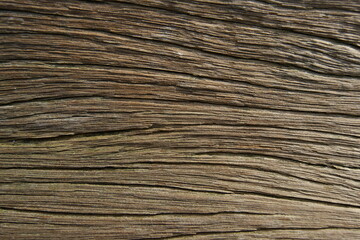 Old wooden board texture. Natural background.
