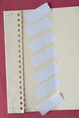 grungy paper with spiral holes and paper tags