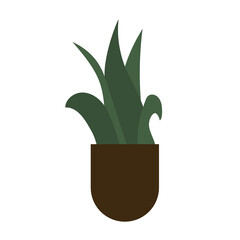 A house flower in a pot. Brown vase for the plant. Green plant on white background. Vector illustration in flat design
