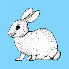 Rabbit animal sketch. Hand drawn vector illustration. Black and white. Easter bunny.