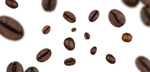 coffee beans composition