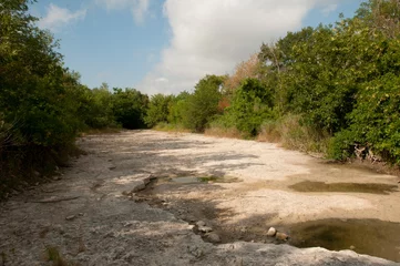 Fotobehang Dry Creekbed, Cole Springs Creek, Texas © Jeff Kauffman