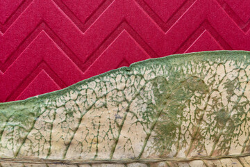 dried tropical leaf and red card stock with chevron pattern close up