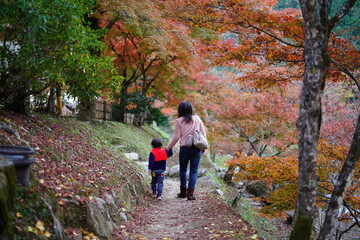 香嵐渓　紅葉の中お散歩