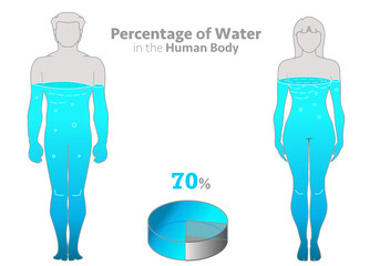 Human proportion water. H2o ratio in male and female body. Adult women, men, filled percentage 70 % water. Pie chart. Gray blue boy, girl figures. White background. Healthy illustration vector