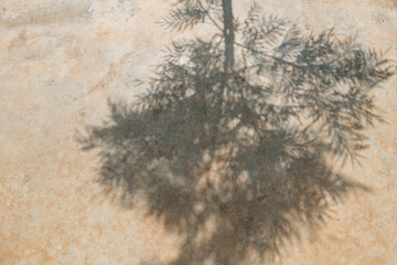Shadows of tree leaf on footpath. Natural abstract and background