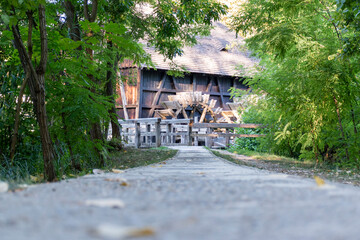 Fototapety na wymiar - Fototapeta24.pl