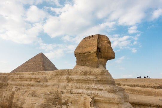 Sphinx in &Auml;gypten vor Cheops-Pyramide