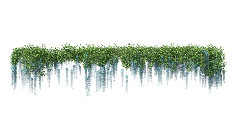 Strongylodon macrobotrys, jade vine, zamrud vine, turquoise jade vine, leguminous perennial liana, ivy, light for daylight, easy to use, 3d render, isolated  © Box