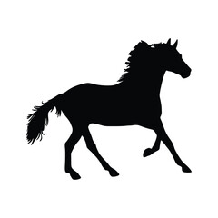 Obraz na płótnie Canvas silhouette of a horse black silhouette. Hand drawn Vector illustration for various applications, logo design, t-shirt design, web design, print, interior, books design and many more.