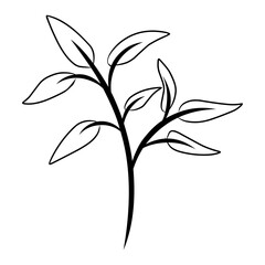 Beautiful Flowers and Plants Collection